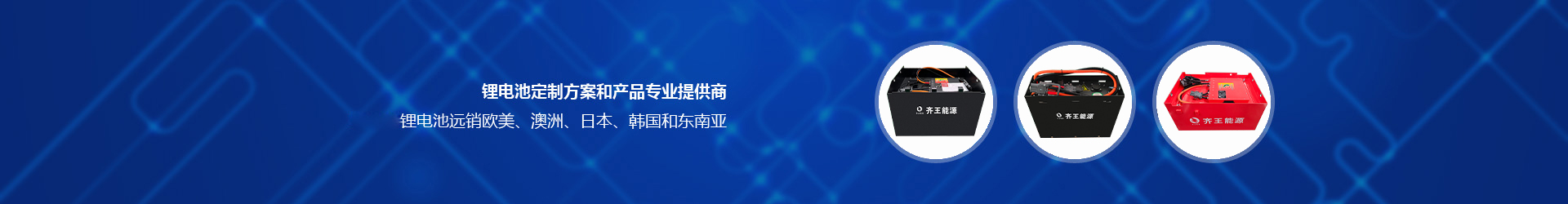 齐王蓄电池牵引用铅酸蓄电池组5PZB500 柳工叉车蓄电池80V500Ah